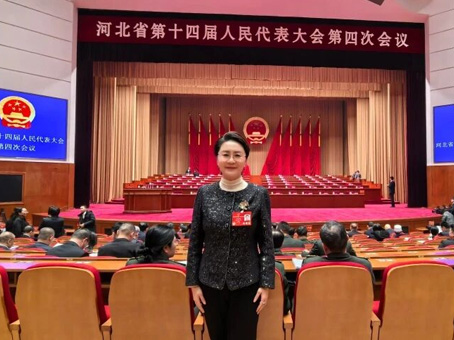 【履职尽责  彰显担任】BB贝博集团总裁李美璇等高层积极参政议政  彰显民企担任与风采